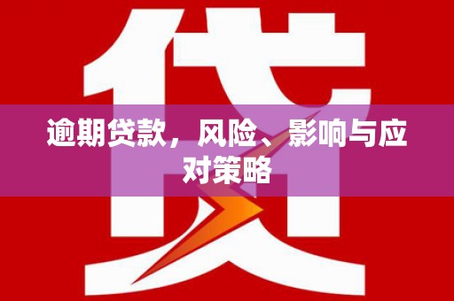 嘉禾逾期贷款，风险、影响与应对策略