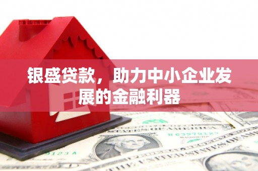 嘉禾银盛贷款，助力中小企业发展的金融利器