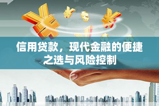 嘉禾信用贷款，现代金融的便捷之选与风险控制
