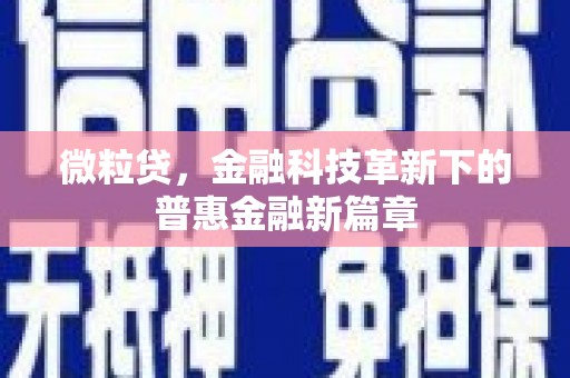 嘉禾微粒贷，金融科技革新下的普惠金融新篇章