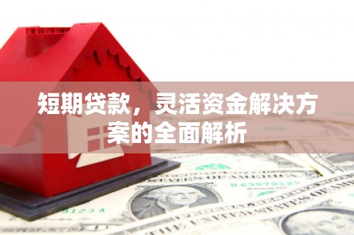 嘉禾短期贷款，灵活资金解决方案的全面解析