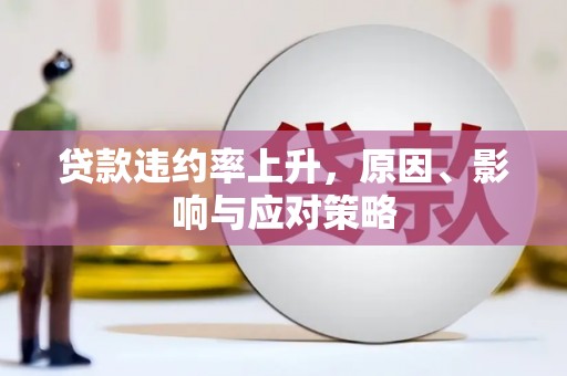 嘉禾贷款违约率上升，原因、影响与应对策略