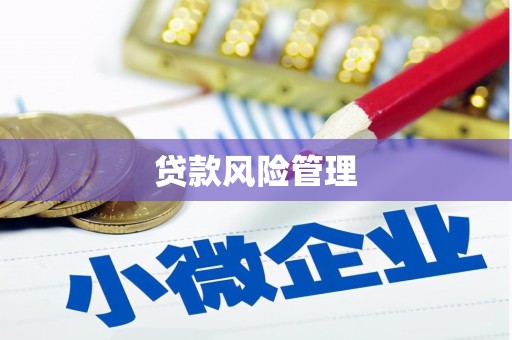 嘉禾贷款风险管理