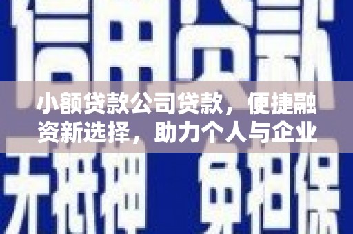 嘉禾小额贷款公司贷款，便捷融资新选择，助力个人与企业成长
