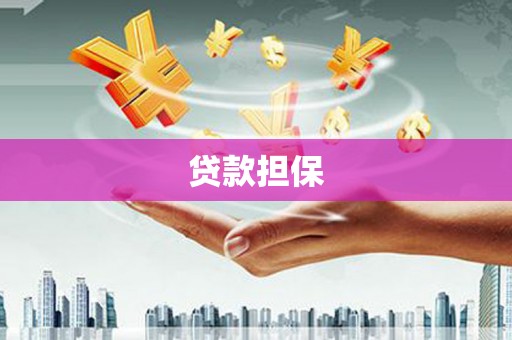 嘉禾贷款担保