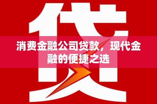 嘉禾消费金融公司贷款，现代金融的便捷之选