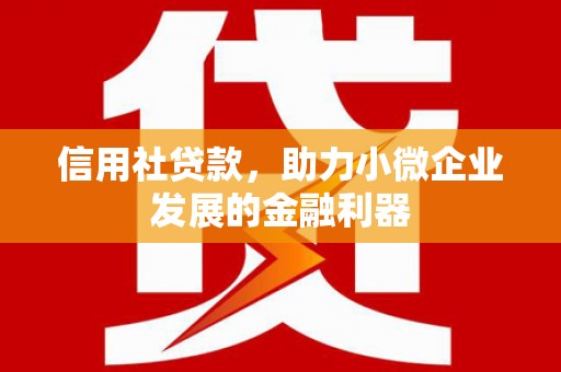 嘉禾信用社贷款，助力小微企业发展的金融利器