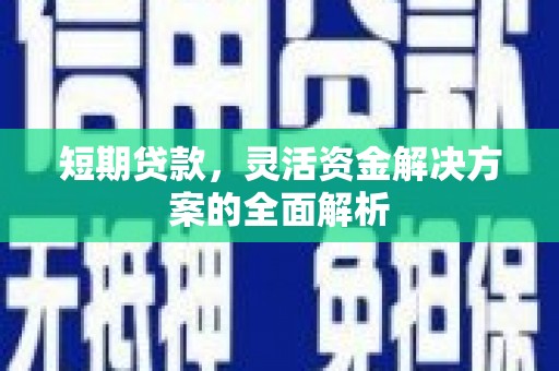 嘉禾短期贷款，灵活资金解决方案的全面解析