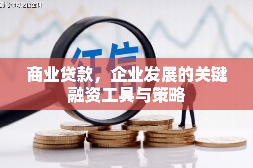 嘉禾商业贷款，企业发展的关键融资工具与策略