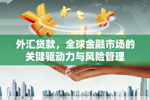 嘉禾外汇贷款，全球金融市场的关键驱动力与风险管理