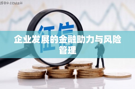 嘉禾企业发展的金融助力与风险管理