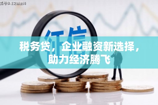 嘉禾税务贷，企业融资新选择，助力经济腾飞