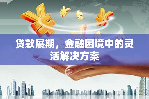 嘉禾贷款展期，金融困境中的灵活解决方案