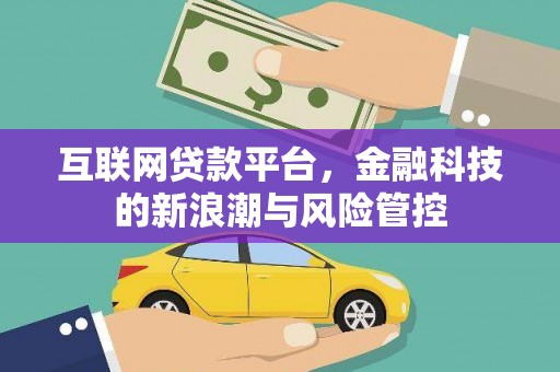 嘉禾互联网贷款平台，金融科技的新浪潮与风险管控