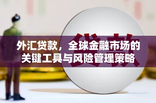 嘉禾外汇贷款，全球金融市场的关键工具与风险管理策略