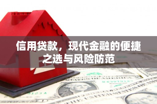 嘉禾信用贷款，现代金融的便捷之选与风险防范