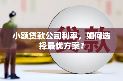 嘉禾小额贷款公司利率，如何选择最优方案？