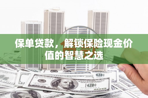 嘉禾保单贷款，解锁保险现金价值的智慧之选