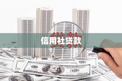 嘉禾信用社贷款