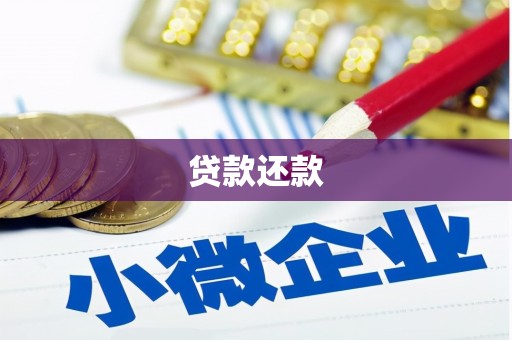 嘉禾贷款还款