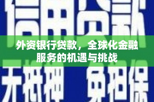 嘉禾外资银行贷款，全球化金融服务的机遇与挑战