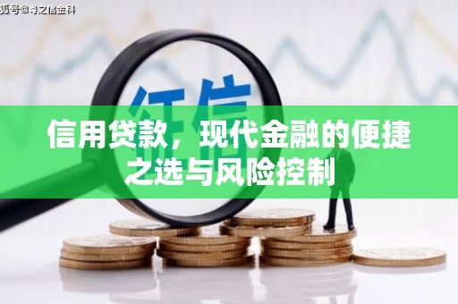 嘉禾信用贷款，现代金融的便捷之选与风险控制