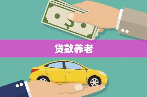 嘉禾贷款养老