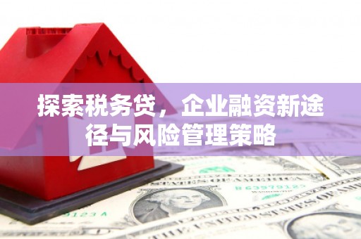 嘉禾探索税务贷，企业融资新途径与风险管理策略