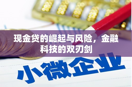 嘉禾现金贷的崛起与风险，金融科技的双刃剑