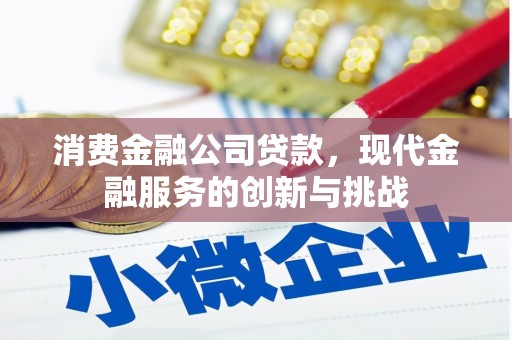 嘉禾消费金融公司贷款，现代金融服务的创新与挑战
