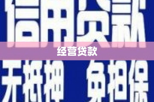 嘉禾经营贷款
