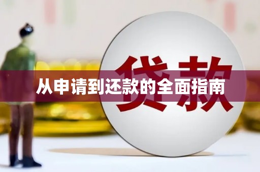 嘉禾从申请到还款的全面指南