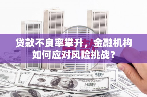 嘉禾贷款不良率攀升，金融机构如何应对风险挑战？