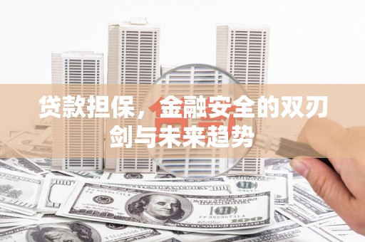 嘉禾贷款担保，金融安全的双刃剑与未来趋势