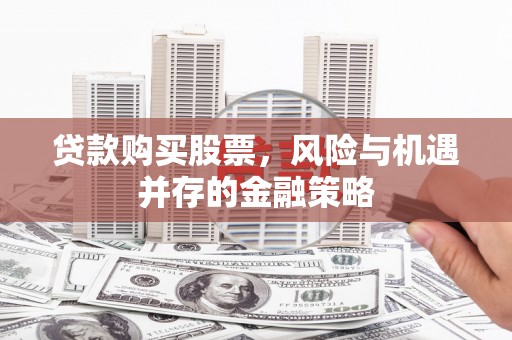 嘉禾贷款购买股票，风险与机遇并存的金融策略
