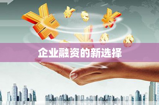 嘉禾企业融资的新选择