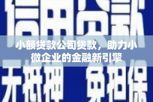 嘉禾小额贷款公司贷款，助力小微企业的金融新引擎