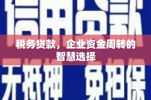 嘉禾税务贷款，企业资金周转的智慧选择