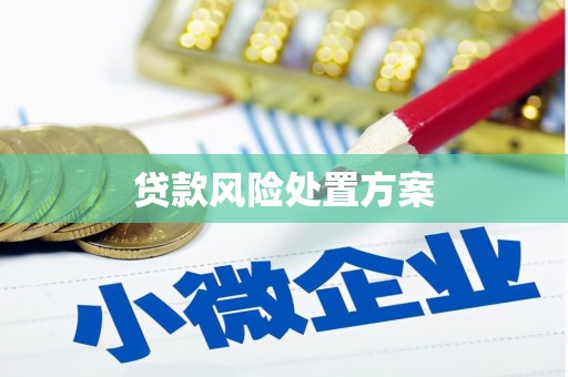 嘉禾贷款风险处置方案
