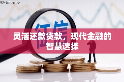 嘉禾灵活还款贷款，现代金融的智慧选择