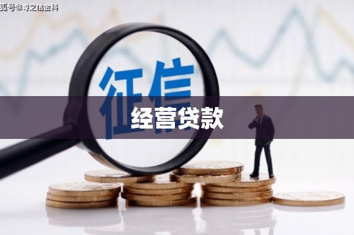 嘉禾经营贷款