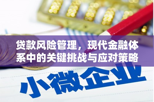 嘉禾贷款风险管理，现代金融体系中的关键挑战与应对策略