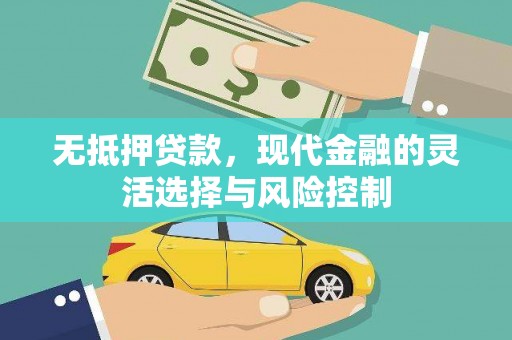嘉禾无抵押贷款，现代金融的灵活选择与风险控制