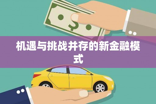 嘉禾机遇与挑战并存的新金融模式