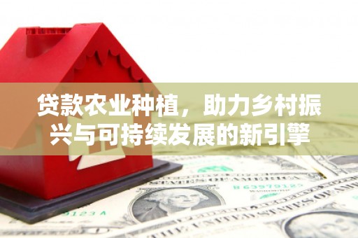 嘉禾贷款农业种植，助力乡村振兴与可持续发展的新引擎