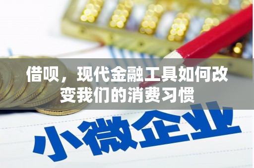 嘉禾借呗，现代金融工具如何改变我们的消费习惯