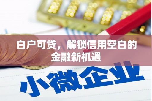嘉禾白户可贷，解锁信用空白的金融新机遇