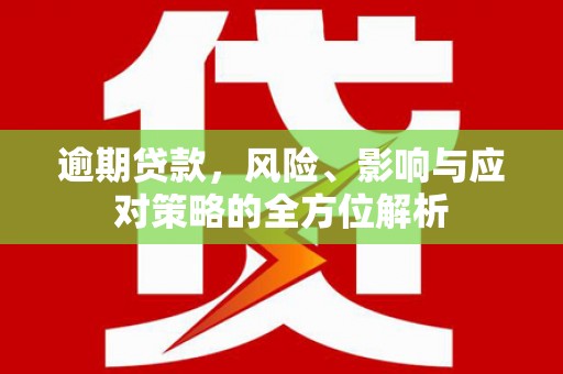 嘉禾逾期贷款，风险、影响与应对策略的全方位解析