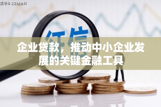 嘉禾企业贷款，推动中小企业发展的关键金融工具