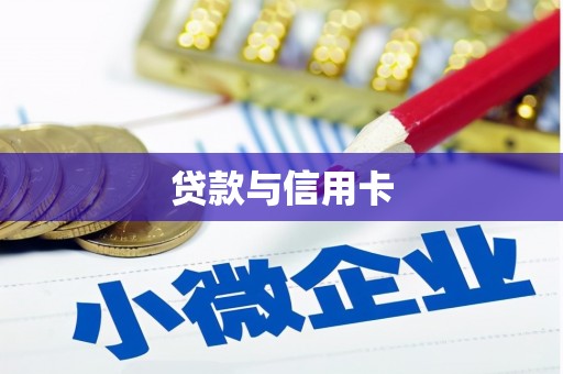嘉禾贷款与信用卡
